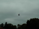 polski09_46.jpg