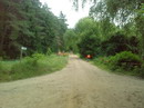 polski09_67.jpg