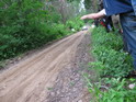 polski09_8.jpg