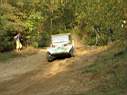 mercedestruckrally050.jpg
