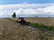 zlot07offroad_5.jpg
