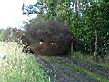 zlot07offroad_8.jpg